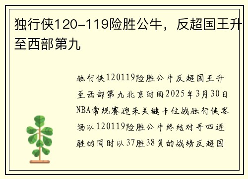 独行侠120-119险胜公牛，反超国王升至西部第九